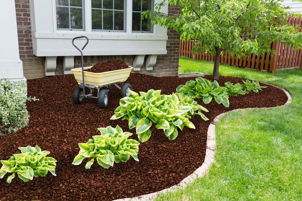 Landscaping Rubber Mulch